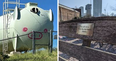 60 Acts Of Vandalism So Clever They Somehow Feel More Like Public Art