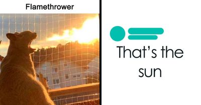 The Sarcasm Was Right There, But These 50 People Somehow Missed Every Single Hint (New Pics)