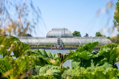 Kew Gardens asks public for £1m to repair and save iconic Palm House