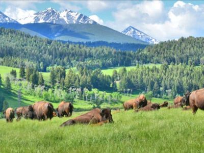 The 113,613-acre Montana landscape where Ted Turner’s wild conservation legacy lives on