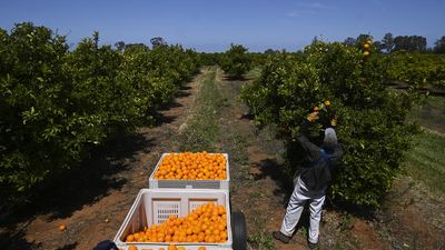 Costs and labour shortage a double blow for regions