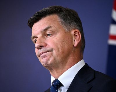Taylor’s hardline immigration plan drags Australian politics further to the right – and it’s all upside for One Nation