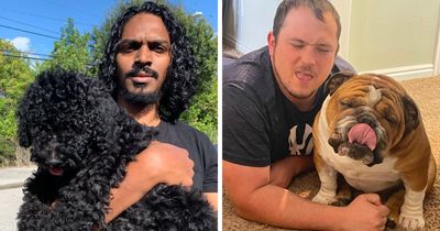 50 Times Pets Looked So Much Like Their Owners, We Had To Look Twice