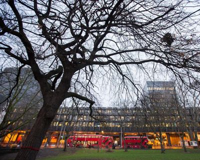 Loss of green space could be issue that decides Holborn and St Pancras byelection
