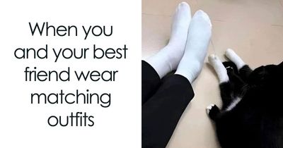 This Page Shared 30 Funny Posts That Prove Cats Will Never Stop Doing The Weirdest Things