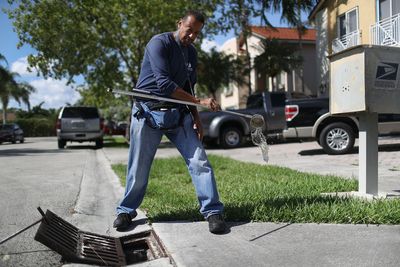 Broward County Confirms Its First Locally Acquired Dengue Case This Year, Placing Fort Lauderdale Area Under Mosquito Advisory