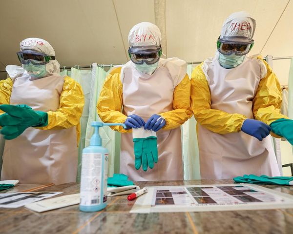 Kenya confirms first Ebola case as virus ‘surges’ in DR Congo province