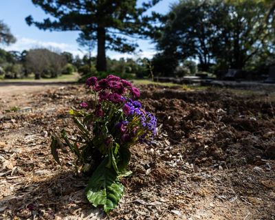 PM urged to act on communal grave revelations as NSW commits to ‘do better’ with urgent review