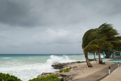 What will El Nino and potential extreme weather mean for travel?