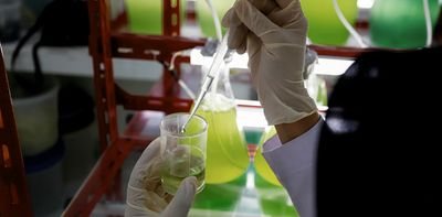 From food to fuel, AI helps pinpoint how to grow ‘microalgae’ at scale