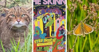 The good news stories from Scotland to brighten up your autumn