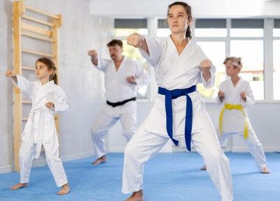 FTC Says Premier Martial Arts Misled Franchise Buyers — Companies Will Pay $1.85 Million