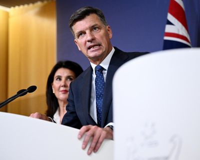 Angus Taylor’s immigration plan misses the target – on politics and on policy