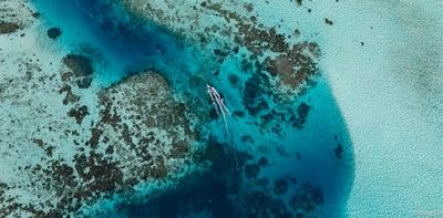 Conservationists are discovering ‘bright spots’ around the globe. Here’s why they matter
