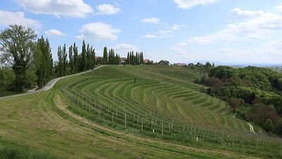 These are the best wine regions in Europe, with Slovenia claiming top spot above France and Italy