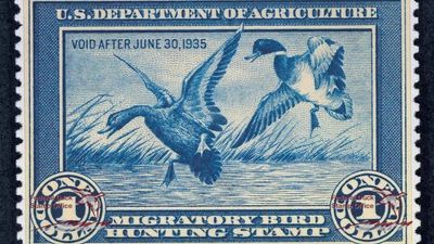 In 1934, America created a $1 duck stamp; it has protected 6 million acres