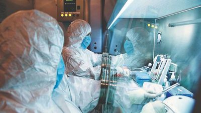 Pneumonic plague alarm in Siberia: Trump offers help, Rubio urges Russia to share info