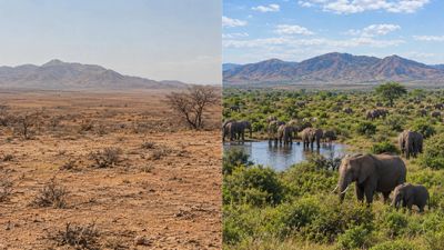 Community Conservation Programme In Namibia: Policy gives wildlife rights to communities; conflicts over benefits persist