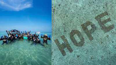 Hope Reef Campaign: Sheba turns coral project into ad; sales and ROI surge