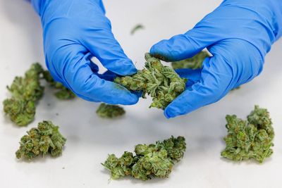 Medical experts share warning to two million Brits privately prescribed cannabis