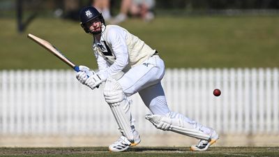 'Bitten your hand off': Hoekstra shines in Shield debut