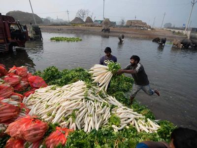 Government tracks fertiliser diversion through e-way bills as supply fears rise