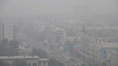 Plague fears in Siberia: How are Irkutsk residents reacting?