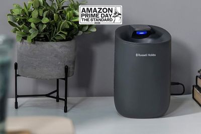 This dehumidifier is less than £50 for Amazon Prime Day – and it's expert-approved