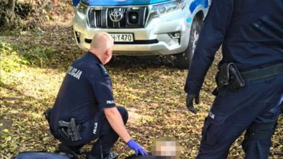 Seven injured in knife attack at Polish vocational school; student arrested