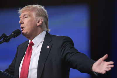 'Disturbing and Dystopian': Trump Latest Agenda Rewards Higher Marriage and Birth Rates With More Funding