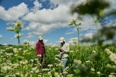 Enthusiasts hope the organic farm staple buckwheat can reach more fields and tables