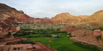Ocean, desert rainfall and a parasitic disease: researchers connect patterns
