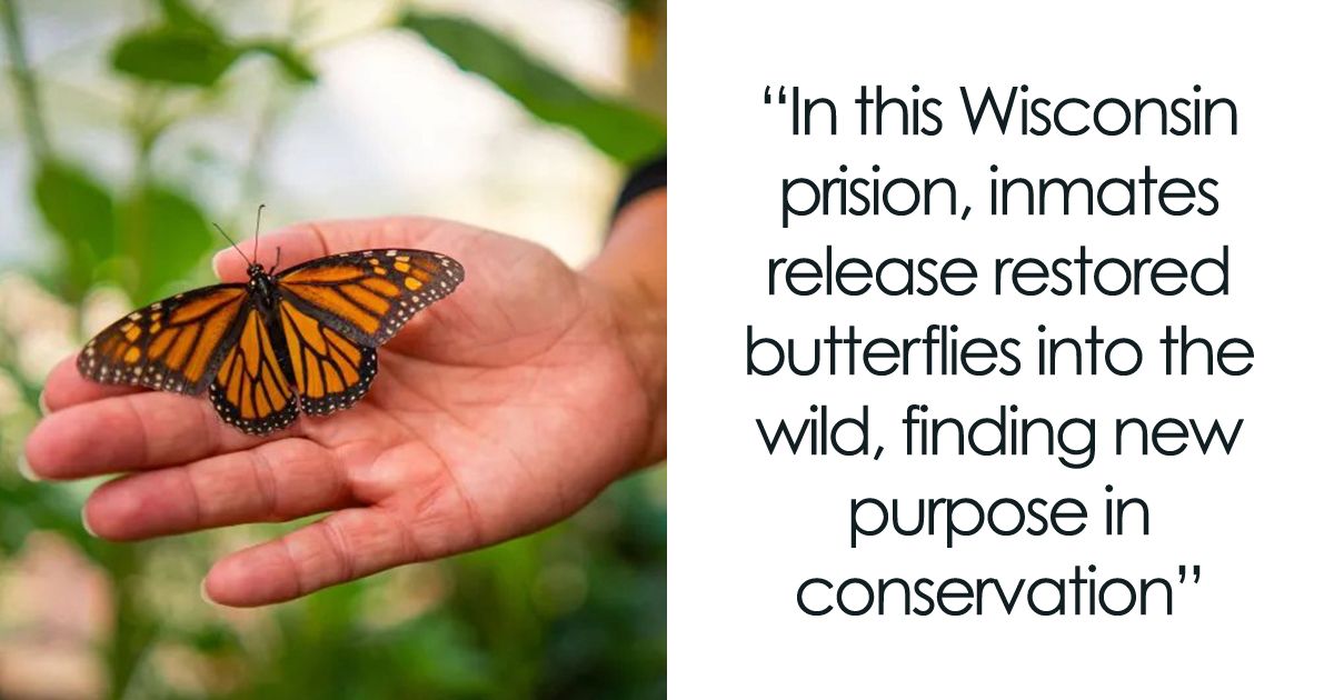 Pirison Riot Wisconsin Prison Turns Inmates Into Heroes Of Monarch…
