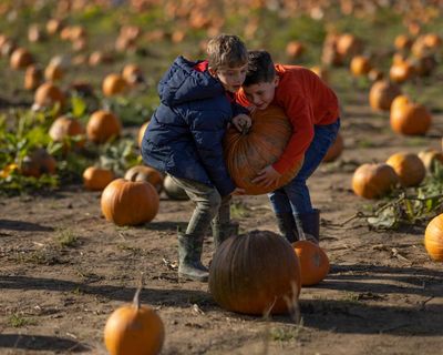 Halloween is looming – this year, I’m ditching my cynicism and getting busy with the pumpkins