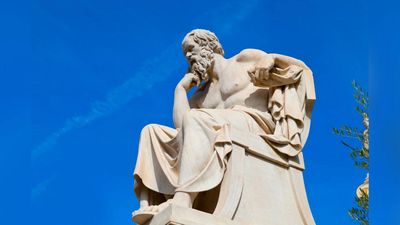 Socrates on human attraction and love: ‘Beauty is the bait which with delight allures man to...'