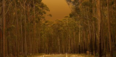 Colonisation, not climate change, first primed these forests to burn