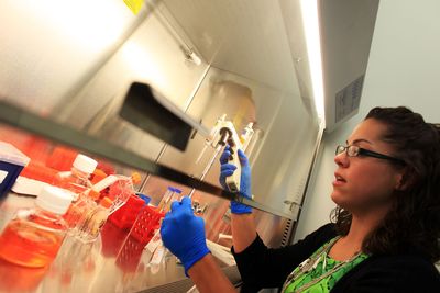 Cigarette Smoke Reprogrammed Lung Stem Cells in Lab Models and Helped Steer Which Lung Cancer Type Formed