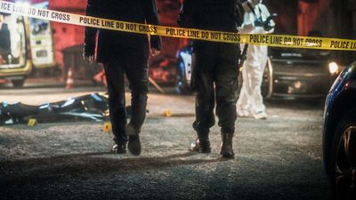 A Survey of Crime Experts Deflates the 'Trump Effect' That Supposedly Reduced Homicides