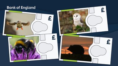 Bank of England reveals animals to feature on banknotes