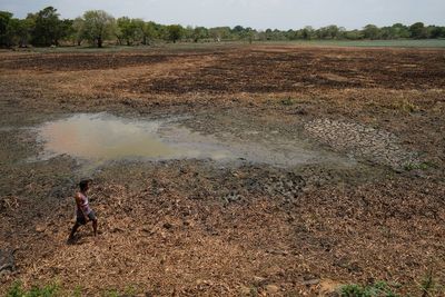 In drought-stricken Sri Lanka, farmers watch wells empty and wildlife crowd shrinking water holes