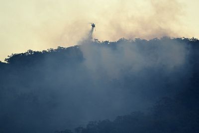 British colonisers thought they were protecting forests by stopping Indigenous burning. It’s now backfiring