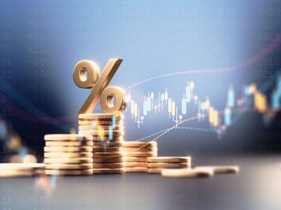 Best small cap mutual funds to invest in October 2026