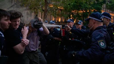 Police bid to hide ugly protest probe rejected