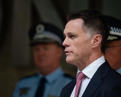 Chris Minns says activists shouldn’t get ‘overexcited’ about ‘technical’ landmark coalmine decision