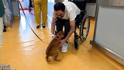 Portuguese hospital lets pets visit owners on the wards: test for paradigm shift