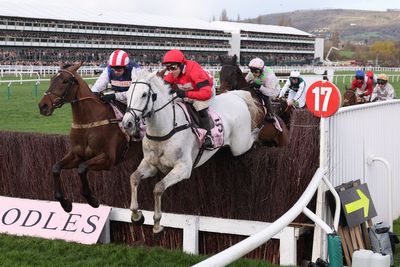 Non-Runner No Bet (NRNB) explained: Meaning, rules and offers