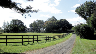 Jon Stewart, wife Tracey paid $4m for 45-acre NJ farm; now grows crops, rescues animals