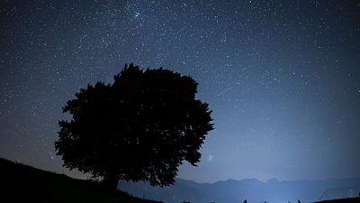 Meteors to light up the skies this October: How to watch the Draconid and Orionid showers