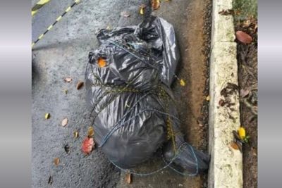 Nine Bodies Found in Bags and Fabric Across São Paulo Fuel Serial Killer Claims as Police Probe Possible Gang Killings