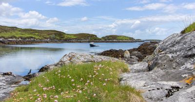 Historic Scottish island that sheltered Bonnie Prince Charlie goes on sale